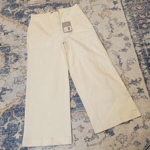 Everlane Wide Leg Crop Utility Pants in Bone